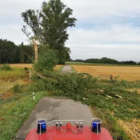 img_20230712_064826.jpg