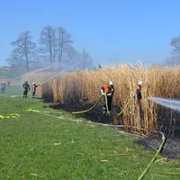 070-9_-_rogging_2.jpg