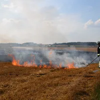 144-9_-_250719_aufhausen_ffw_einsatz_flachenbrand.jpg
